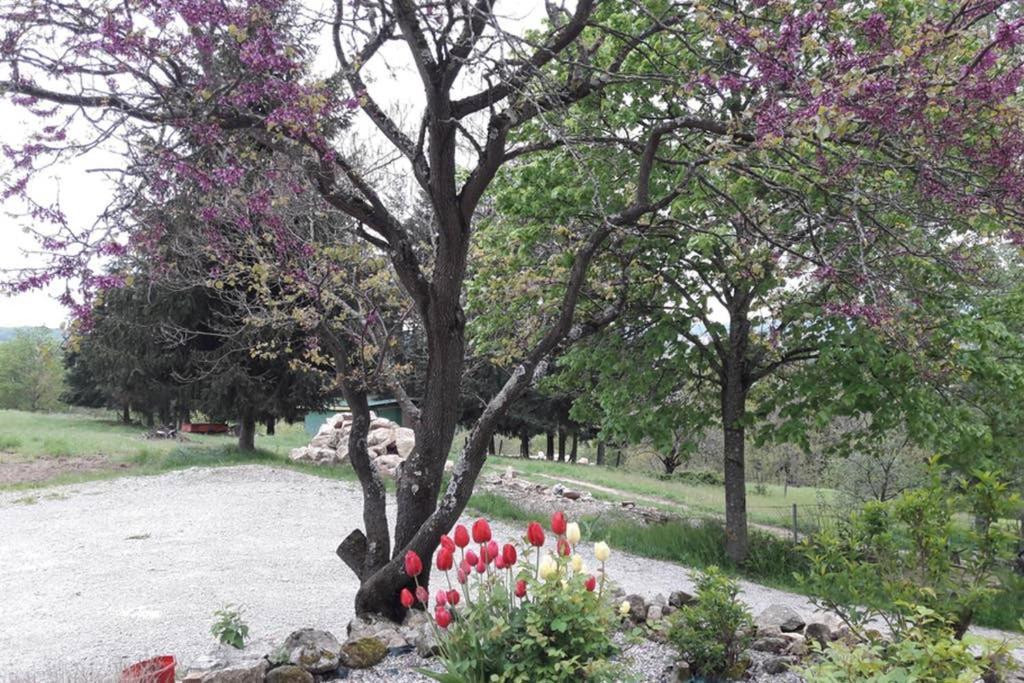 Gite Le Pilat Vernoux-en-Vivarais Exteriér fotografie
